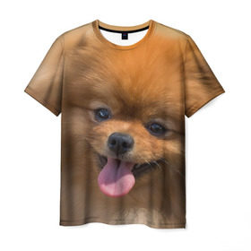 Мужская футболка 3D с принтом Милашка в Санкт-Петербурге, 100% полиэфир | прямой крой, круглый вырез горловины, длина до линии бедер | Тематика изображения на принте: dog | пес | померанский | собака | шпиц | щеночек