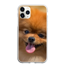 Чехол для iPhone 11 Pro матовый с принтом Милашка в Санкт-Петербурге, Силикон |  | Тематика изображения на принте: dog | пес | померанский | собака | шпиц | щеночек