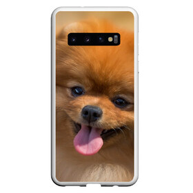 Чехол для Samsung Galaxy S10 с принтом Милашка в Санкт-Петербурге, Силикон | Область печати: задняя сторона чехла, без боковых панелей | dog | пес | померанский | собака | шпиц | щеночек