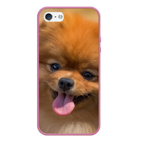 Чехол для iPhone 5/5S матовый с принтом Милашка в Санкт-Петербурге, Силикон | Область печати: задняя сторона чехла, без боковых панелей | dog | пес | померанский | собака | шпиц | щеночек