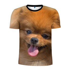 Мужская футболка 3D спортивная с принтом Милашка в Санкт-Петербурге, 100% полиэстер с улучшенными характеристиками | приталенный силуэт, круглая горловина, широкие плечи, сужается к линии бедра | Тематика изображения на принте: dog | пес | померанский | собака | шпиц | щеночек
