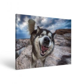 Холст прямоугольный с принтом Smile в Санкт-Петербурге, 100% ПВХ |  | dog | лабрадор | мопс | пес | собака | такса | хаски | щеночек
