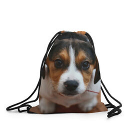 Рюкзак-мешок 3D с принтом Щеночек в Санкт-Петербурге, 100% полиэстер | плотность ткани — 200 г/м2, размер — 35 х 45 см; лямки — толстые шнурки, застежка на шнуровке, без карманов и подкладки | Тематика изображения на принте: dog | бигль | пес | собака | щеночек