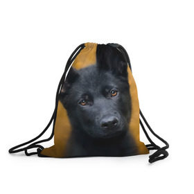 Рюкзак-мешок 3D с принтом Doggy в Санкт-Петербурге, 100% полиэстер | плотность ткани — 200 г/м2, размер — 35 х 45 см; лямки — толстые шнурки, застежка на шнуровке, без карманов и подкладки | dog | овчарка | пес | собака | черная овчарка | щеночек