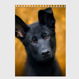 Скетчбук с принтом Doggy в Санкт-Петербурге, 100% бумага
 | 48 листов, плотность листов — 100 г/м2, плотность картонной обложки — 250 г/м2. Листы скреплены сверху удобной пружинной спиралью | dog | овчарка | пес | собака | черная овчарка | щеночек