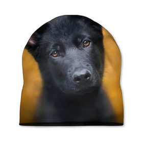 Шапка 3D с принтом Doggy в Санкт-Петербурге, 100% полиэстер | универсальный размер, печать по всей поверхности изделия | dog | овчарка | пес | собака | черная овчарка | щеночек