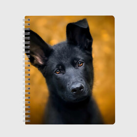 Тетрадь с принтом Doggy в Санкт-Петербурге, 100% бумага | 48 листов, плотность листов — 60 г/м2, плотность картонной обложки — 250 г/м2. Листы скреплены сбоку удобной пружинной спиралью. Уголки страниц и обложки скругленные. Цвет линий — светло-серый
 | dog | овчарка | пес | собака | черная овчарка | щеночек