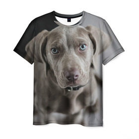 Мужская футболка 3D с принтом Puppy в Санкт-Петербурге, 100% полиэфир | прямой крой, круглый вырез горловины, длина до линии бедер | dog | веймаранер | пес | собака | щеночек