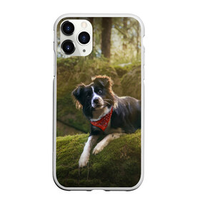 Чехол для iPhone 11 Pro матовый с принтом Лес в Санкт-Петербурге, Силикон |  | dog | бордер колли | пес | собака