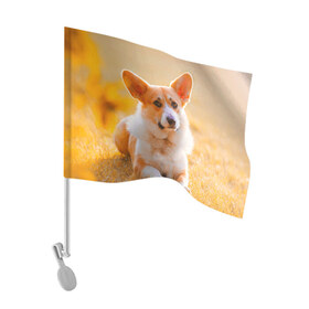 Флаг для автомобиля с принтом Взгляд в Санкт-Петербурге, 100% полиэстер | Размер: 30*21 см | dog | вельш корги | корги | пес | собака