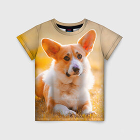 Детская футболка 3D с принтом Взгляд в Санкт-Петербурге, 100% гипоаллергенный полиэфир | прямой крой, круглый вырез горловины, длина до линии бедер, чуть спущенное плечо, ткань немного тянется | dog | вельш корги | корги | пес | собака