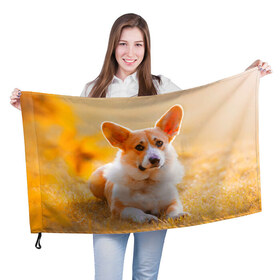 Флаг 3D с принтом Взгляд в Санкт-Петербурге, 100% полиэстер | плотность ткани — 95 г/м2, размер — 67 х 109 см. Принт наносится с одной стороны | dog | вельш корги | корги | пес | собака
