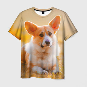 Мужская футболка 3D с принтом Взгляд в Санкт-Петербурге, 100% полиэфир | прямой крой, круглый вырез горловины, длина до линии бедер | dog | вельш корги | корги | пес | собака