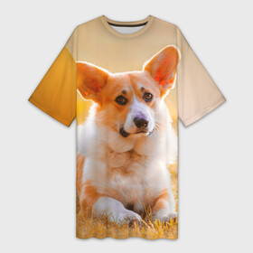 Платье-футболка 3D с принтом Взгляд в Санкт-Петербурге,  |  | dog | вельш корги | корги | пес | собака
