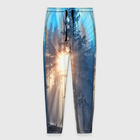 Мужские брюки 3D с принтом Woodland в Санкт-Петербурге, 100% полиэстер | манжеты по низу, эластичный пояс регулируется шнурком, по бокам два кармана без застежек, внутренняя часть кармана из мелкой сетки | деревья | лес | пейзаж