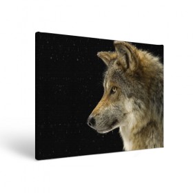 Холст прямоугольный с принтом Волк и звезды в Санкт-Петербурге, 100% ПВХ |  | животные | зверь | серый | хищник