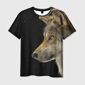 Мужская футболка 3D с принтом Волк и звезды в Санкт-Петербурге, 100% полиэфир | прямой крой, круглый вырез горловины, длина до линии бедер | животные | зверь | серый | хищник