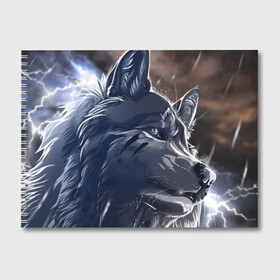 Альбом для рисования с принтом Волк и дождь в Санкт-Петербурге, 100% бумага
 | матовая бумага, плотность 200 мг. | зверь | хищник | черный