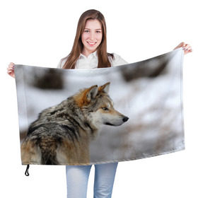 Флаг 3D с принтом Хозяин леса в Санкт-Петербурге, 100% полиэстер | плотность ткани — 95 г/м2, размер — 67 х 109 см. Принт наносится с одной стороны | волк | серый