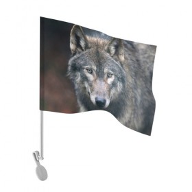 Флаг для автомобиля с принтом Серый волк в Санкт-Петербурге, 100% полиэстер | Размер: 30*21 см | аука | бирюк | волк | волчара | волчица | волчок | глаза | животное | животные | зверь | зеленые | койот | лес | млекопитающее | природа | санитар леса | серый | уши | фауна | хищник | черный | шакал