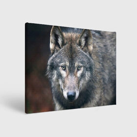 Холст прямоугольный с принтом Серый волк в Санкт-Петербурге, 100% ПВХ |  | аука | бирюк | волк | волчара | волчица | волчок | глаза | животное | животные | зверь | зеленые | койот | лес | млекопитающее | природа | санитар леса | серый | уши | фауна | хищник | черный | шакал