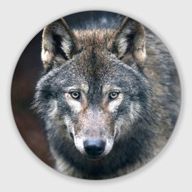 Коврик круглый с принтом Серый волк в Санкт-Петербурге, резина и полиэстер | круглая форма, изображение наносится на всю лицевую часть | аука | бирюк | волк | волчара | волчица | волчок | глаза | животное | животные | зверь | зеленые | койот | лес | млекопитающее | природа | санитар леса | серый | уши | фауна | хищник | черный | шакал
