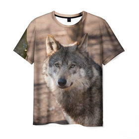Мужская футболка 3D с принтом Серый волк в Санкт-Петербурге, 100% полиэфир | прямой крой, круглый вырез горловины, длина до линии бедер | аука | бирюк | волк | волчара | волчица | волчок | глаза | животное | животные | зверь | зеленые | койот | лес | млекопитающее | природа | санитар леса | серый | уши | фауна | хищник | черный | шакал