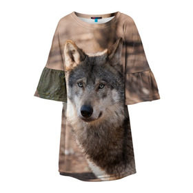 Детское платье 3D с принтом Серый волк в Санкт-Петербурге, 100% полиэстер | прямой силуэт, чуть расширенный к низу. Круглая горловина, на рукавах — воланы | Тематика изображения на принте: аука | бирюк | волк | волчара | волчица | волчок | глаза | животное | животные | зверь | зеленые | койот | лес | млекопитающее | природа | санитар леса | серый | уши | фауна | хищник | черный | шакал