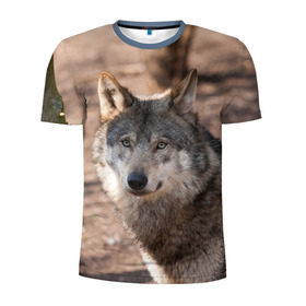 Мужская футболка 3D спортивная с принтом Серый волк в Санкт-Петербурге, 100% полиэстер с улучшенными характеристиками | приталенный силуэт, круглая горловина, широкие плечи, сужается к линии бедра | аука | бирюк | волк | волчара | волчица | волчок | глаза | животное | животные | зверь | зеленые | койот | лес | млекопитающее | природа | санитар леса | серый | уши | фауна | хищник | черный | шакал