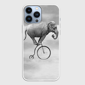 Чехол для iPhone 13 Pro Max с принтом Hipster Bike в Санкт-Петербурге,  |  | elephant | hipster | индия | йога | слон | хипстер