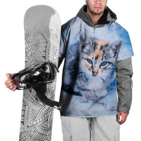 Накидка на куртку 3D с принтом Трехцветный котенок зимой в Санкт-Петербурге, 100% полиэстер |  | Тематика изображения на принте: грустный | добрый | животное | киса | киска кися | кот | котенок | котэ | кошка | красивый | лапа | лапка | ласковый | милый | моська | мурлыка | прикольный | смешной | унылый | усатый | шерсть