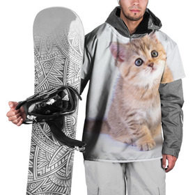 Накидка на куртку 3D с принтом Любопытный котенок в Санкт-Петербурге, 100% полиэстер |  | грустный | добрый | животное | киса | киска кися | кот | котенок | котэ | кошка | красивый | лапа | лапка | ласковый | милый | моська | мурлыка | прикольный | смешной | унылый | усатый | шерсть