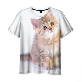 Мужская футболка 3D с принтом Любопытный котенок в Санкт-Петербурге, 100% полиэфир | прямой крой, круглый вырез горловины, длина до линии бедер | грустный | добрый | животное | киса | киска кися | кот | котенок | котэ | кошка | красивый | лапа | лапка | ласковый | милый | моська | мурлыка | прикольный | смешной | унылый | усатый | шерсть