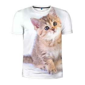 Мужская футболка 3D спортивная с принтом Любопытный котенок в Санкт-Петербурге, 100% полиэстер с улучшенными характеристиками | приталенный силуэт, круглая горловина, широкие плечи, сужается к линии бедра | грустный | добрый | животное | киса | киска кися | кот | котенок | котэ | кошка | красивый | лапа | лапка | ласковый | милый | моська | мурлыка | прикольный | смешной | унылый | усатый | шерсть