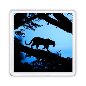 Магнит 55*55 с принтом Чёрная пантера в Санкт-Петербурге, Пластик | Размер: 65*65 мм; Размер печати: 55*55 мм | Тематика изображения на принте: африка | вечер | дерево | дикая кошка | закат | леопард | сафари | ягуар