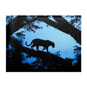 Обложка для студенческого билета с принтом Чёрная пантера в Санкт-Петербурге, натуральная кожа | Размер: 11*8 см; Печать на всей внешней стороне | африка | вечер | дерево | дикая кошка | закат | леопард | сафари | ягуар