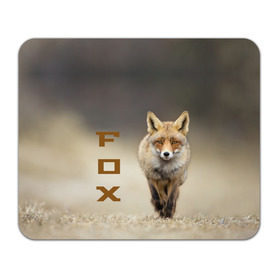 Коврик прямоугольный с принтом Рыжий лис (fox) в Санкт-Петербурге, натуральный каучук | размер 230 х 185 мм; запечатка лицевой стороны | fox | животное | зверь | красивая | лес | лис | лиса | лисенок | лисица | лисичка | мех | патрикеевна | песец | плутовка | прикольная | природа | рыжая | рыжий цвет | сказка | хвост | хитрая | хищник