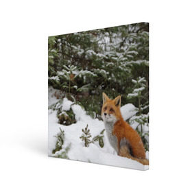 Холст квадратный с принтом Лиса в зимнем лесу в Санкт-Петербурге, 100% ПВХ |  | fox | животное | зверь | красивая | лес | лис | лиса | лисенок | лисица | лисичка | мех | патрикеевна | песец | плутовка | прикольная | природа | рыжая | рыжий цвет | сказка | хвост | хитрая | хищник