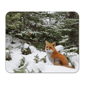 Коврик прямоугольный с принтом Лиса в зимнем лесу в Санкт-Петербурге, натуральный каучук | размер 230 х 185 мм; запечатка лицевой стороны | fox | животное | зверь | красивая | лес | лис | лиса | лисенок | лисица | лисичка | мех | патрикеевна | песец | плутовка | прикольная | природа | рыжая | рыжий цвет | сказка | хвост | хитрая | хищник