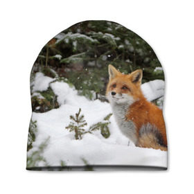 Шапка 3D с принтом Лиса в зимнем лесу в Санкт-Петербурге, 100% полиэстер | универсальный размер, печать по всей поверхности изделия | Тематика изображения на принте: fox | животное | зверь | красивая | лес | лис | лиса | лисенок | лисица | лисичка | мех | патрикеевна | песец | плутовка | прикольная | природа | рыжая | рыжий цвет | сказка | хвост | хитрая | хищник