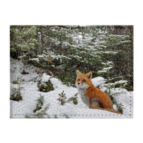 Обложка для студенческого билета с принтом Лиса в зимнем лесу в Санкт-Петербурге, натуральная кожа | Размер: 11*8 см; Печать на всей внешней стороне | Тематика изображения на принте: fox | животное | зверь | красивая | лес | лис | лиса | лисенок | лисица | лисичка | мех | патрикеевна | песец | плутовка | прикольная | природа | рыжая | рыжий цвет | сказка | хвост | хитрая | хищник