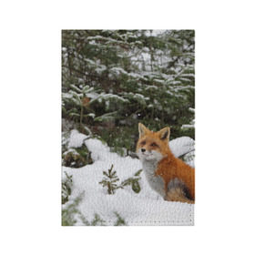 Обложка для паспорта матовая кожа с принтом Лиса в зимнем лесу в Санкт-Петербурге, натуральная матовая кожа | размер 19,3 х 13,7 см; прозрачные пластиковые крепления | Тематика изображения на принте: fox | животное | зверь | красивая | лес | лис | лиса | лисенок | лисица | лисичка | мех | патрикеевна | песец | плутовка | прикольная | природа | рыжая | рыжий цвет | сказка | хвост | хитрая | хищник