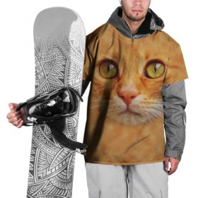 Накидка на куртку 3D с принтом Котик в Санкт-Петербурге, 100% полиэстер |  | животные | кот | котенок | котик | кошка