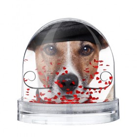 Водяной шар с принтом Джек рассел - мексиканец в Санкт-Петербурге, Пластик | Изображение внутри шара печатается на глянцевой фотобумаге с двух сторон | джек | любимец | пес | песик | питомец | рассел | собака | собаки | собачка | терьер
