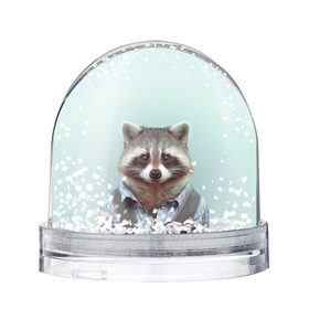 Снежный шар с принтом Хипстер Енот в Санкт-Петербурге, Пластик | Изображение внутри шара печатается на глянцевой фотобумаге с двух сторон | raccoon | енот