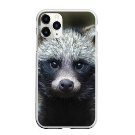 Чехол для iPhone 11 Pro Max матовый с принтом Енотик в Санкт-Петербурге, Силикон |  | raccoon | енот
