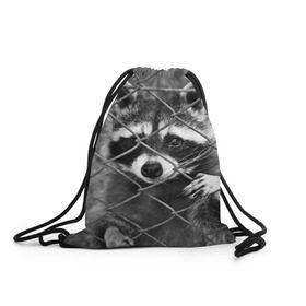 Рюкзак-мешок 3D с принтом Свободу Енотам в Санкт-Петербурге, 100% полиэстер | плотность ткани — 200 г/м2, размер — 35 х 45 см; лямки — толстые шнурки, застежка на шнуровке, без карманов и подкладки | raccoon | енот