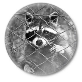 Значок с принтом Свободу Енотам в Санкт-Петербурге,  металл | круглая форма, металлическая застежка в виде булавки | raccoon | енот