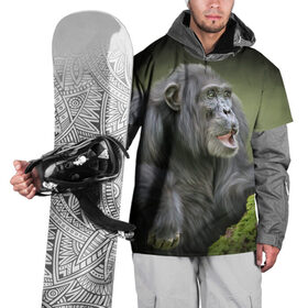 Накидка на куртку 3D с принтом Шимпанзе в Санкт-Петербурге, 100% полиэстер |  | животные | обезьяна 