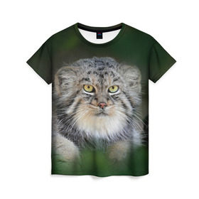 Женская футболка 3D с принтом Манул в Санкт-Петербурге, 100% полиэфир ( синтетическое хлопкоподобное полотно) | прямой крой, круглый вырез горловины, длина до линии бедер | всеядный | детеныш | дикие | животные | звери | зверята | кот | манул | медведь | хищник